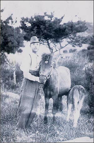 군마방목지 고려시대엔 '남중목장', 조선시대엔 '국마방목지'로 활용되었다. 1940년대까지 말이 있었으나 주민들이 잡아먹으면서 사라졌다.